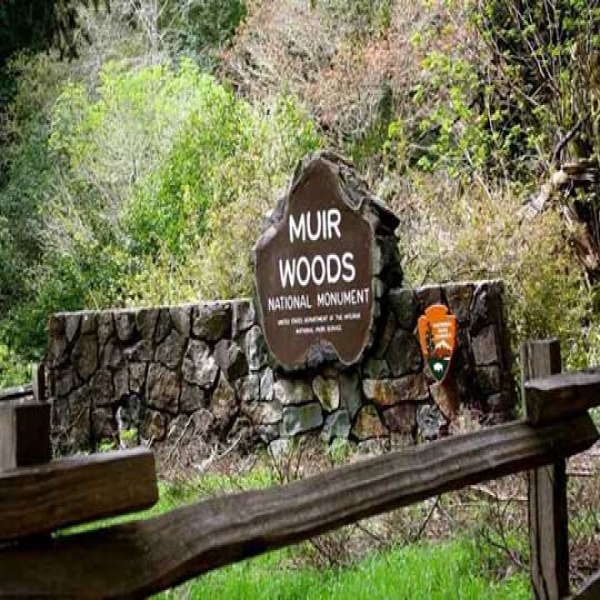 中式园林景观标识设计如何用色彩体现四季变化