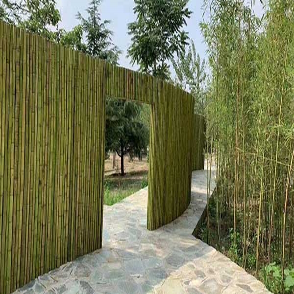 景区木栈道建设的木材都有哪些特点